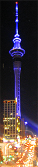 Auckland Skytower Auckland Skytower at night
